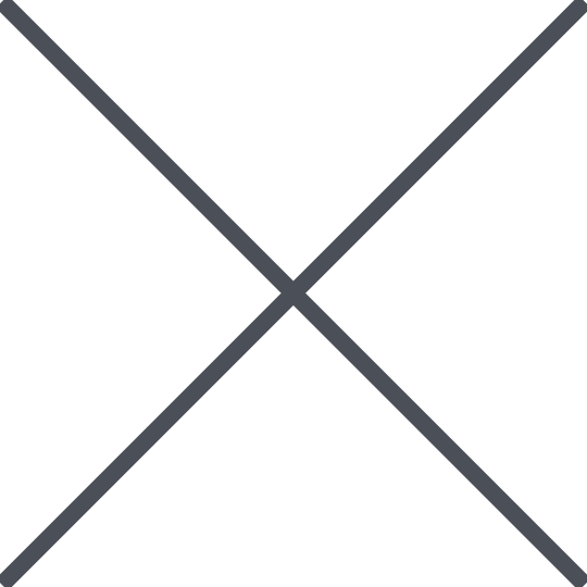 x icon